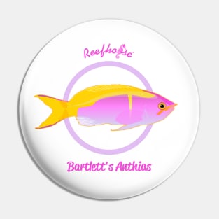 Barlett's Anthias Pin