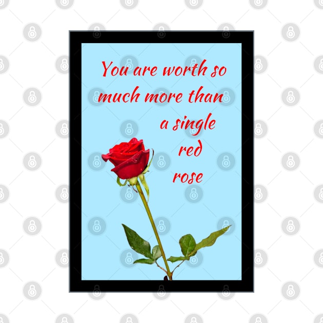 You are worth so much more than a single red rose 1 by Blue Butterfly Designs 