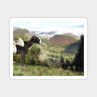 Pyrenees sheep and summer landscape Magnet