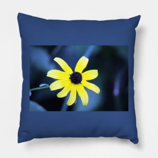 Daisy Pillow