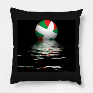 Basque flag setting / rising Pillow