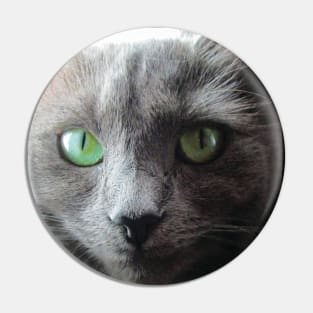 Stunning green eyed grey cat Pin