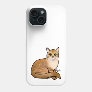 Cat - British Shorthair - Orange Tabby Phone Case