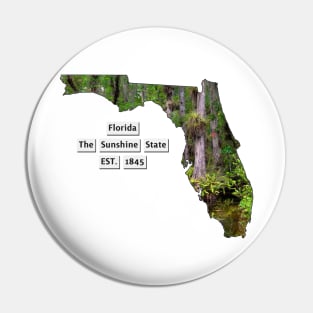 Florida USA Pin