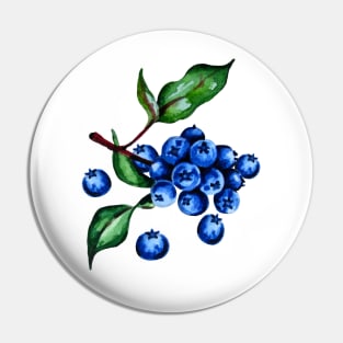 painting blueberries Pin