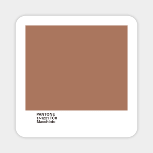 pantone 17-1221 TCX Macchiato Magnet