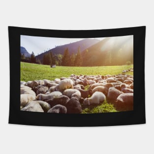 Sheep herd lying on green pasture Tapestry