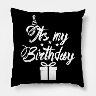 Its My Birthday Pillow