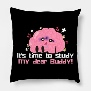 It's time to study my dear buddy Pillow