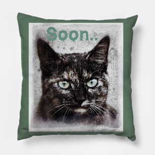 Soon.. Pillow