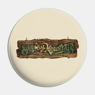 the splash mountain resplang VIntage Pin