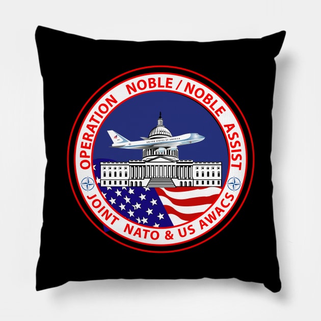 Operation Noble Eagle - ONE - 911 Pillow by twix123844