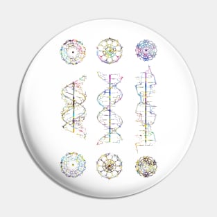 A-,B-, and Z-DNA Pin