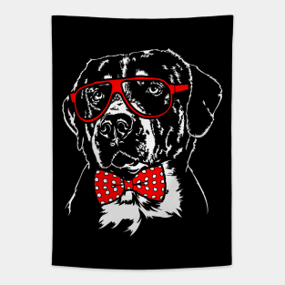 Greater Swiss Mountain Dog mom dog lover gift Tapestry