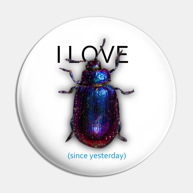 I LOVE *beetle* since yesterday Pin by dreyhi