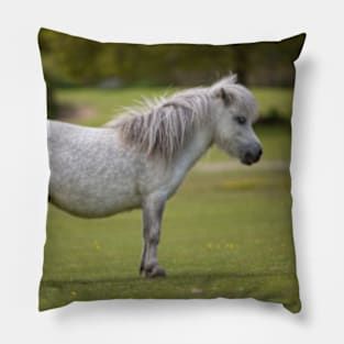 Miniature Horse. Pillow