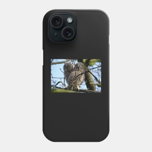 Tawny Owlets Phone Case