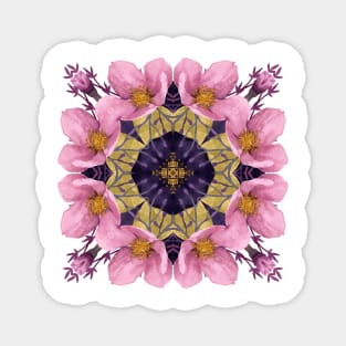 Pink and Purple Hellebore Flowers Magnet