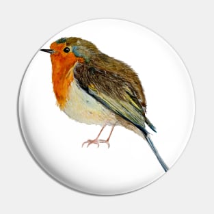 Robin Pin