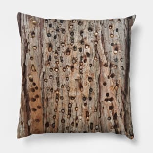 Palomar Acorn Pine Pantry Pillow