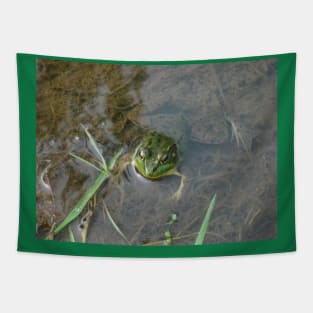 Froggy Tapestry