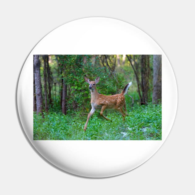 White-Tailed Deer Fawn on the run Pin by Jim Cumming