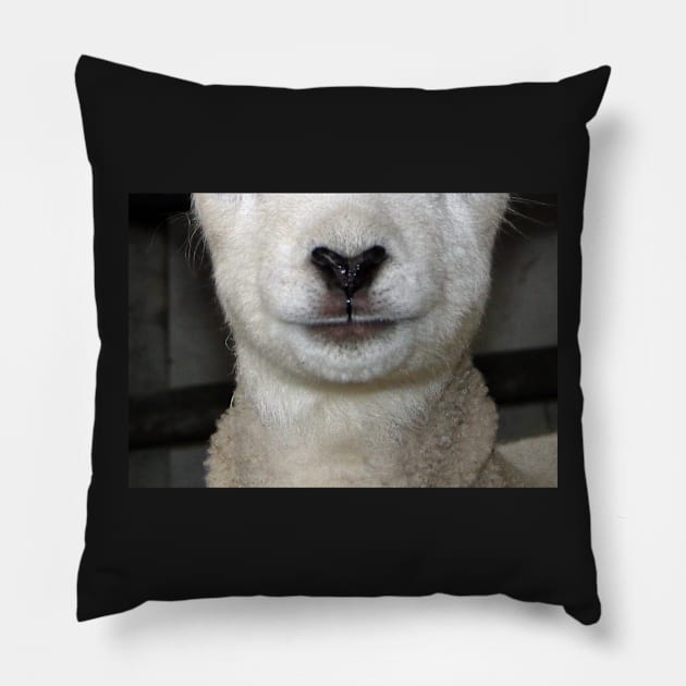 Baa Snout 1 Pillow by AH64D