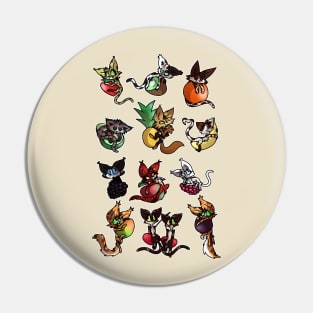 fruit cats Pin