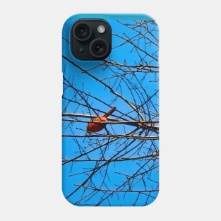 Red Cardinal in a bare Tree Phone Case