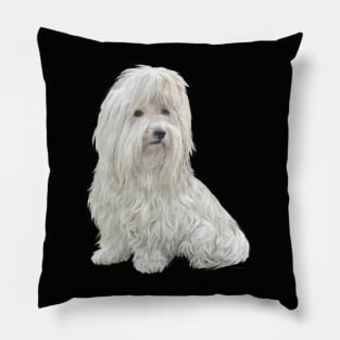 Coton de Tulear - just the dog Pillow