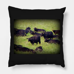 Country Farm Photography Art Farmland Cows Pillow