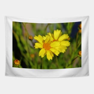 Crown Daisies Tapestry