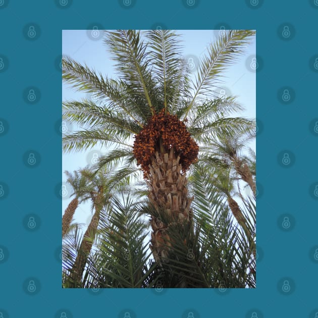 Date Palm by SPACE ART & NATURE SHIRTS 