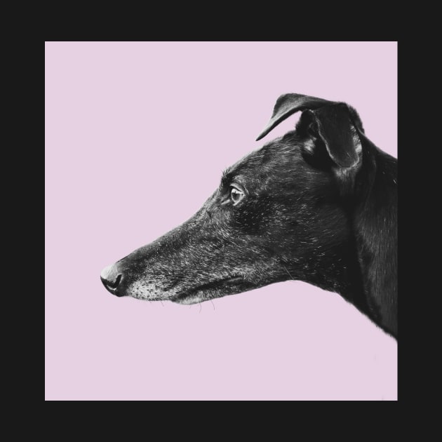 Greyhound Profile Design by mrdoomits