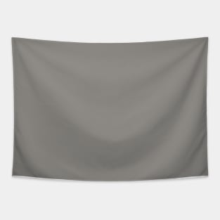 Solid Thunder Dark Gray Monochrome Minimal Design Tapestry