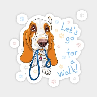 Basset Hound breed wants to walk Magnet