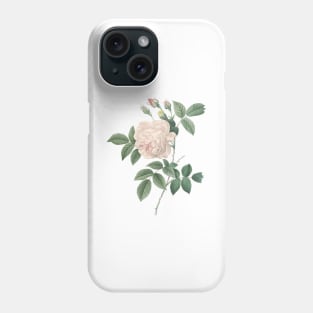 White Rose Flower Vintage Botanical Illustration Phone Case