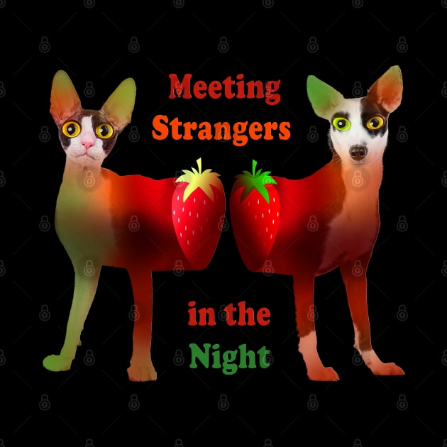 Strangers in the Night. Funny Cat and Dog with Strawberries :) by LinoLuno