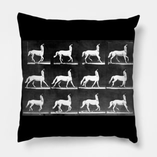 A Study of the Movement of Centaurs (Canter). Pillow