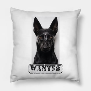 Malinois Wanted Pillow