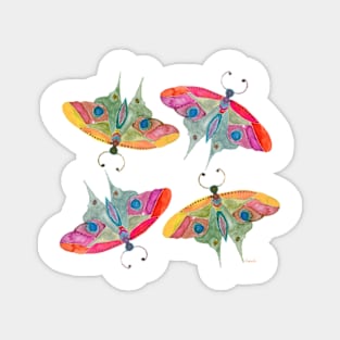 butterflies Magnet