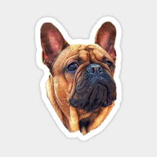 French Bulldog Cute Puppy Dog Magnet