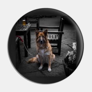 Another Dog And A Beer Pin