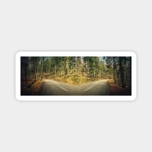 crossroad in the woods Magnet