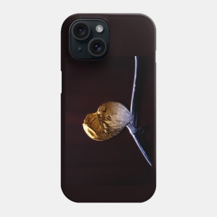 Golden Leaf Pothos Phone Case