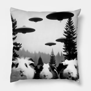 Funny Guinea Pig with Alien UFO Spaceship. Guinea Pig lover Pillow