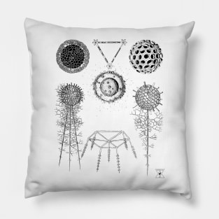 Radiolaria | Sea Creatures Microscopic Animals Pillow