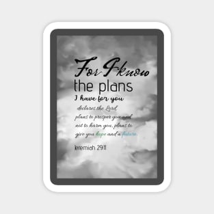 Bible verse Jeremiah 29:11 on hand drawn sky digital painting Magnet