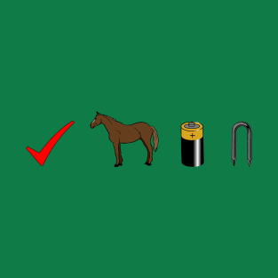 Correct Horse Battery Staple T-Shirt