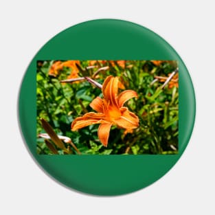 Tiger Lily Pin